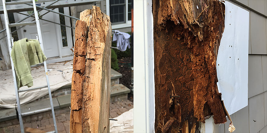 Rotted wood to be replaced